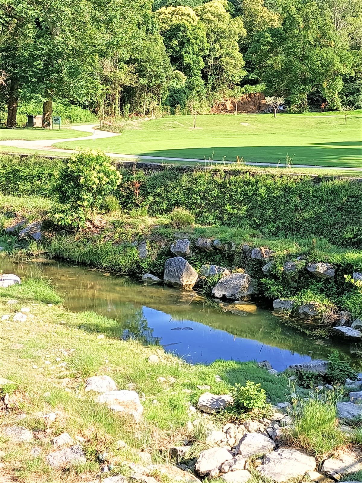 Studio Indépendant Rapallo 268052