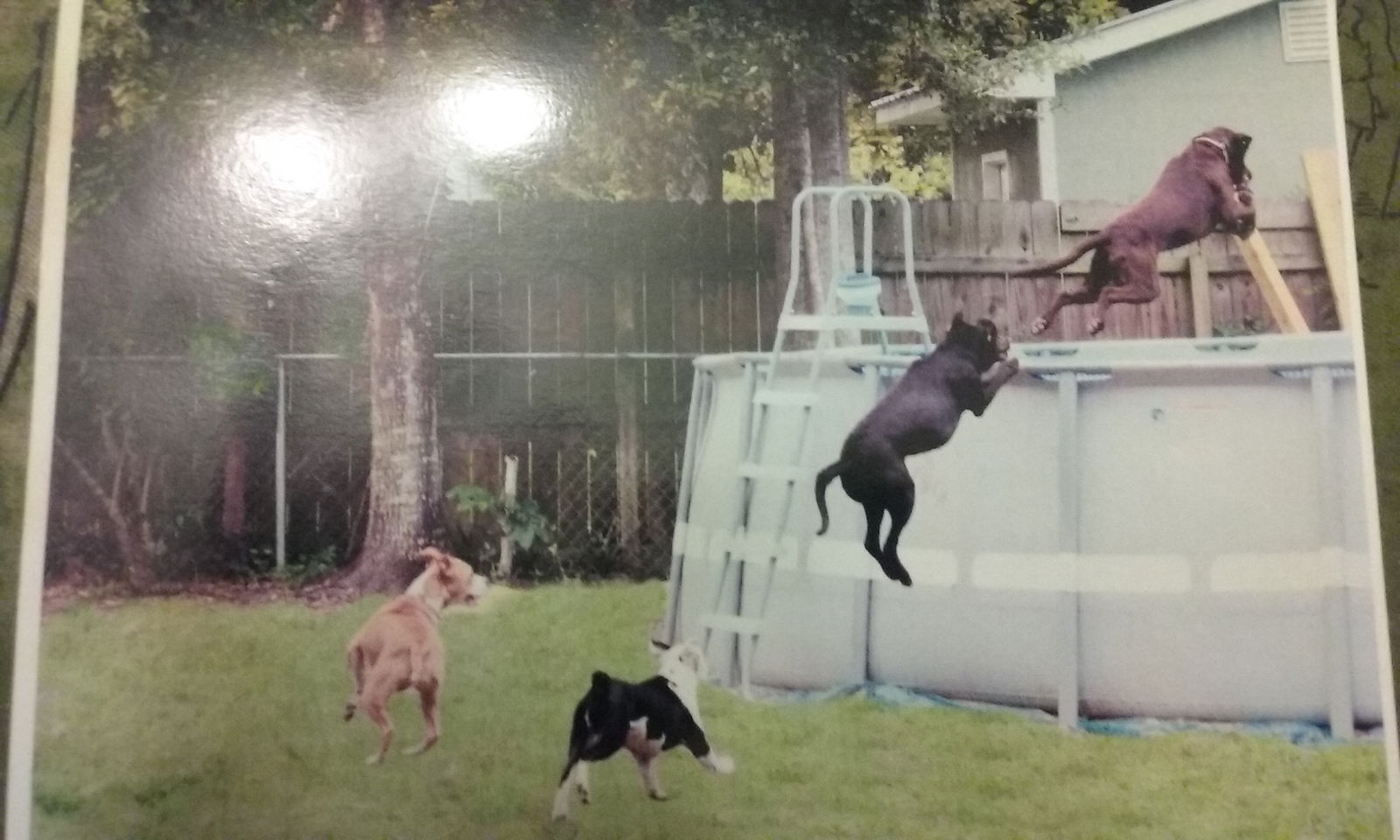 Famiglia Ocean Springs 166189