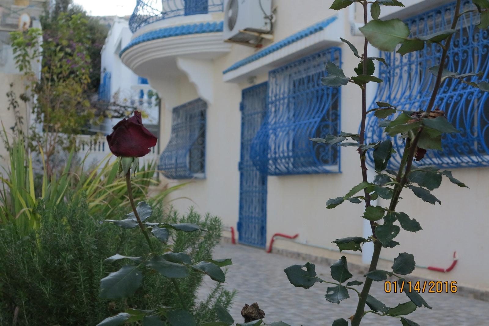 Hele Huis Tunis 124959