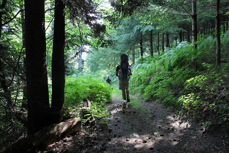 Gästezimmer Ouroux 121916