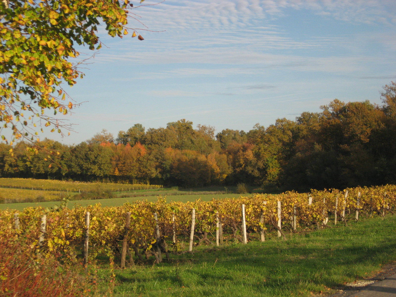 Gastfamilie Soubran 165057