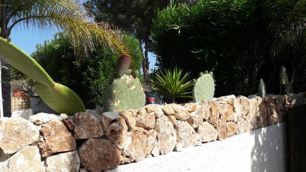 Unabhängiges Studio Fontane Bianche 168395