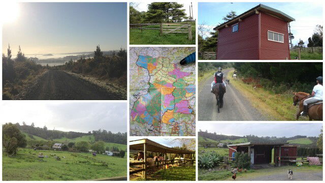 Onafhanklike Ateljee Dairy Flat 172346