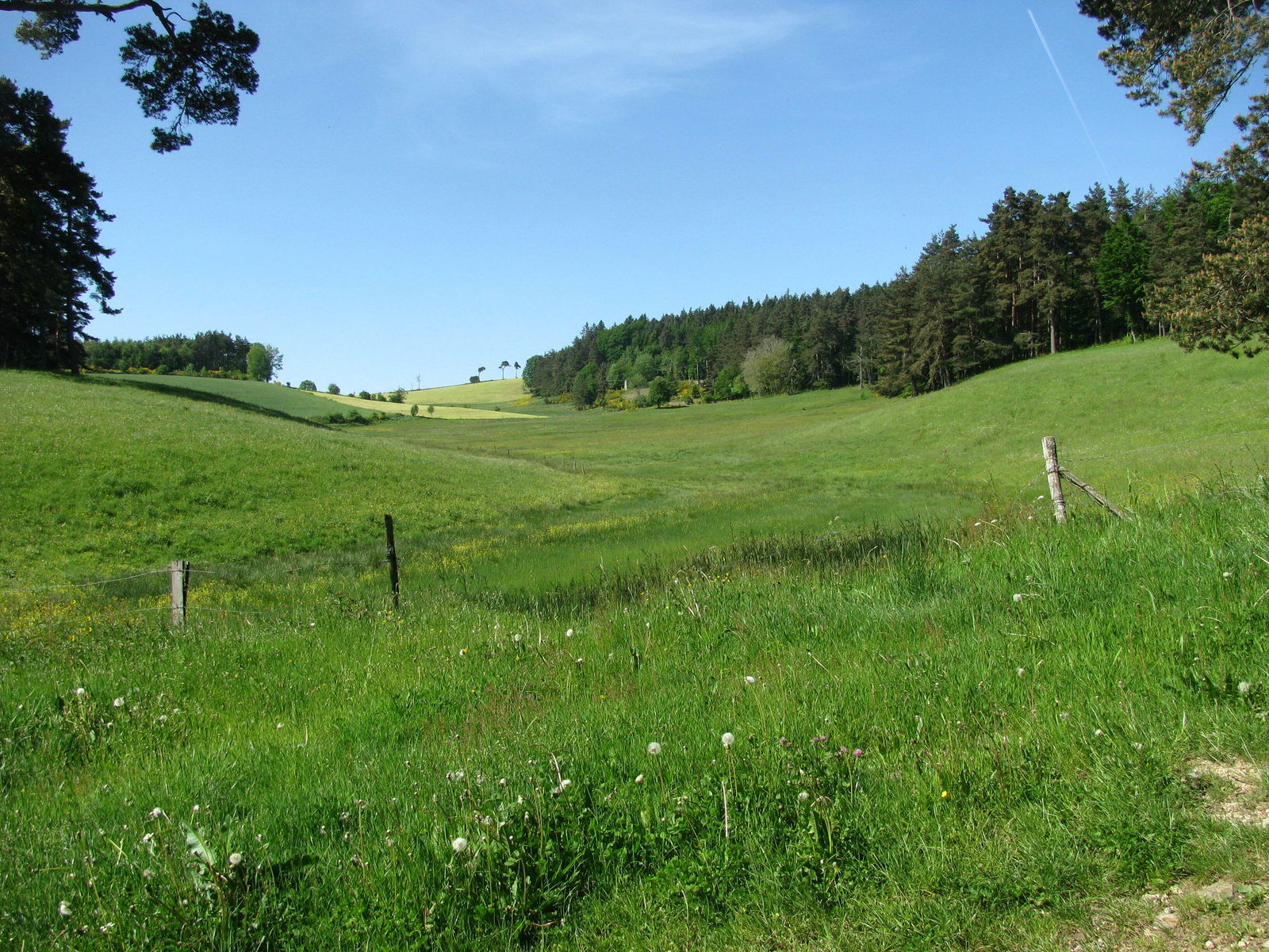 Gastfamilie Saint-André-en-Vivarais 131608