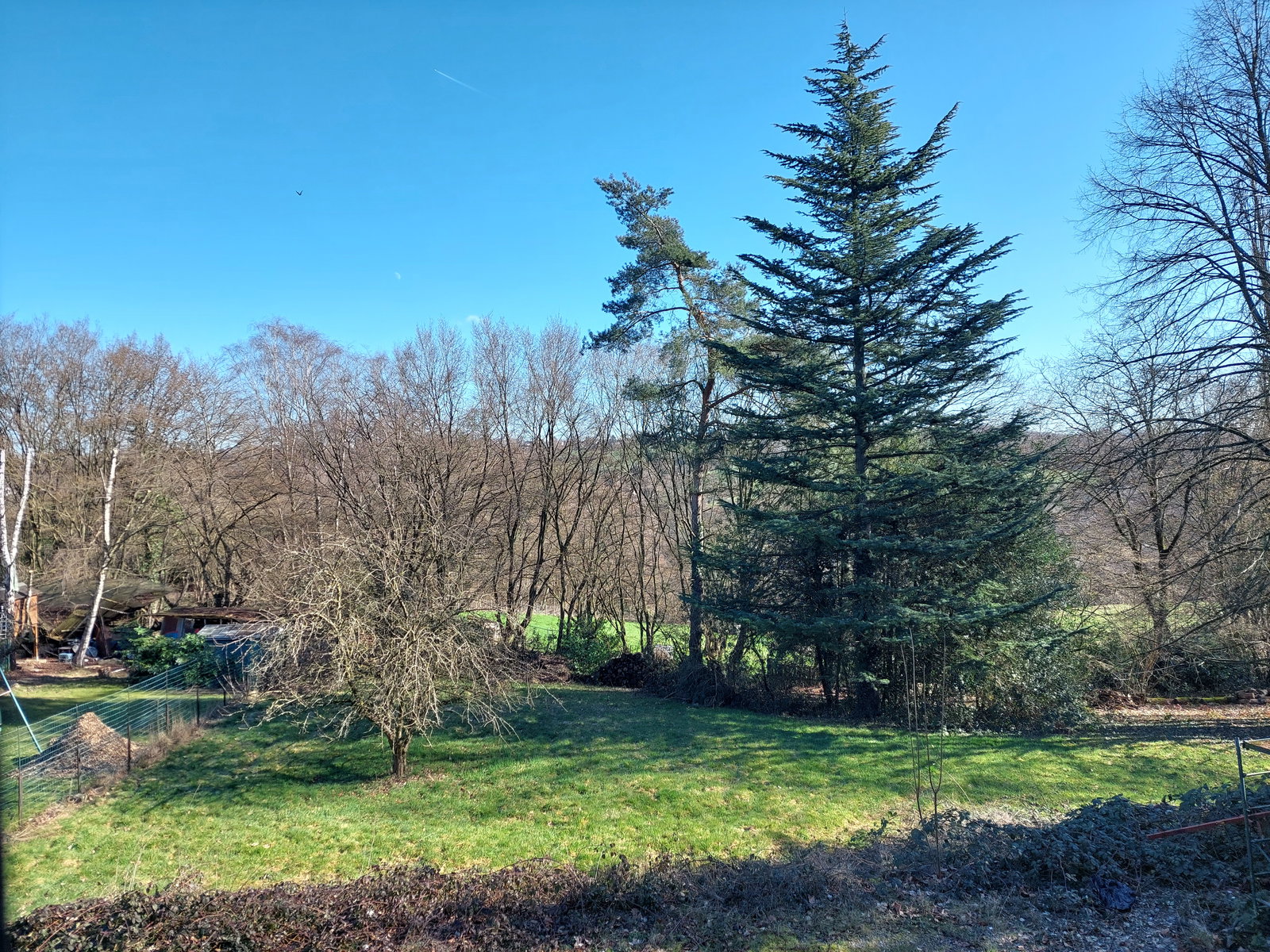 Hemvistelse Fléron 447963