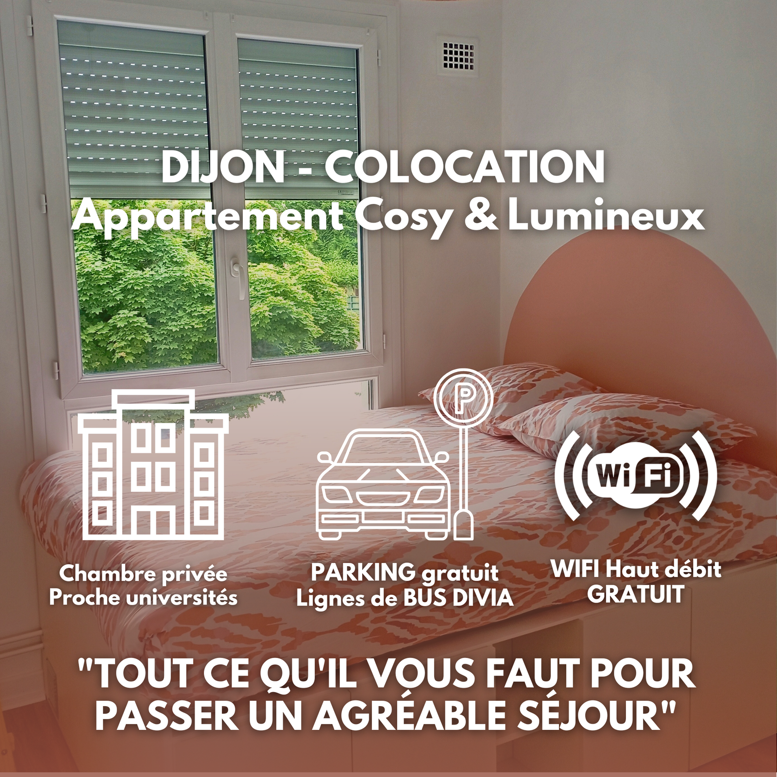 Colocación Dijon 531799