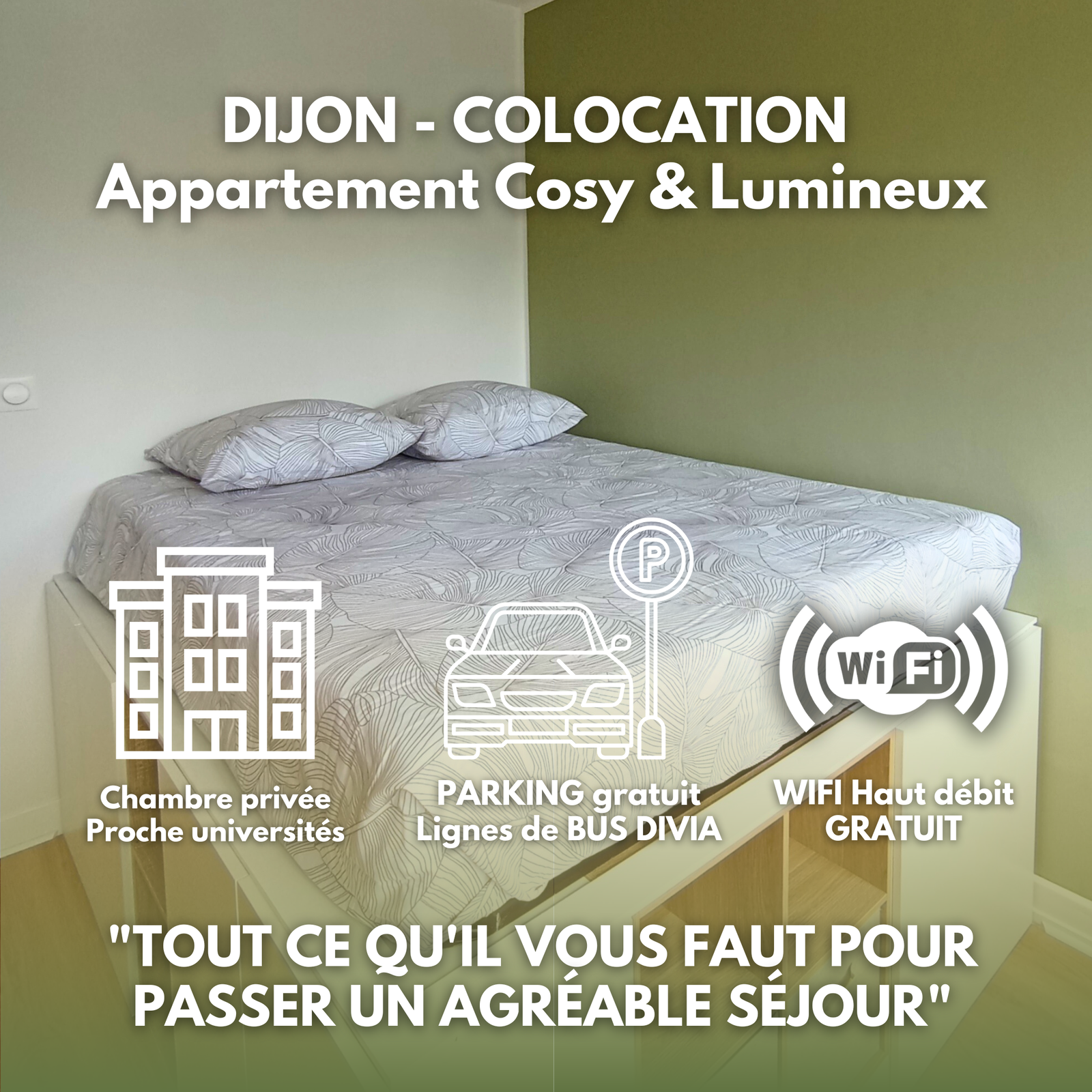 Colocación Dijon 531801