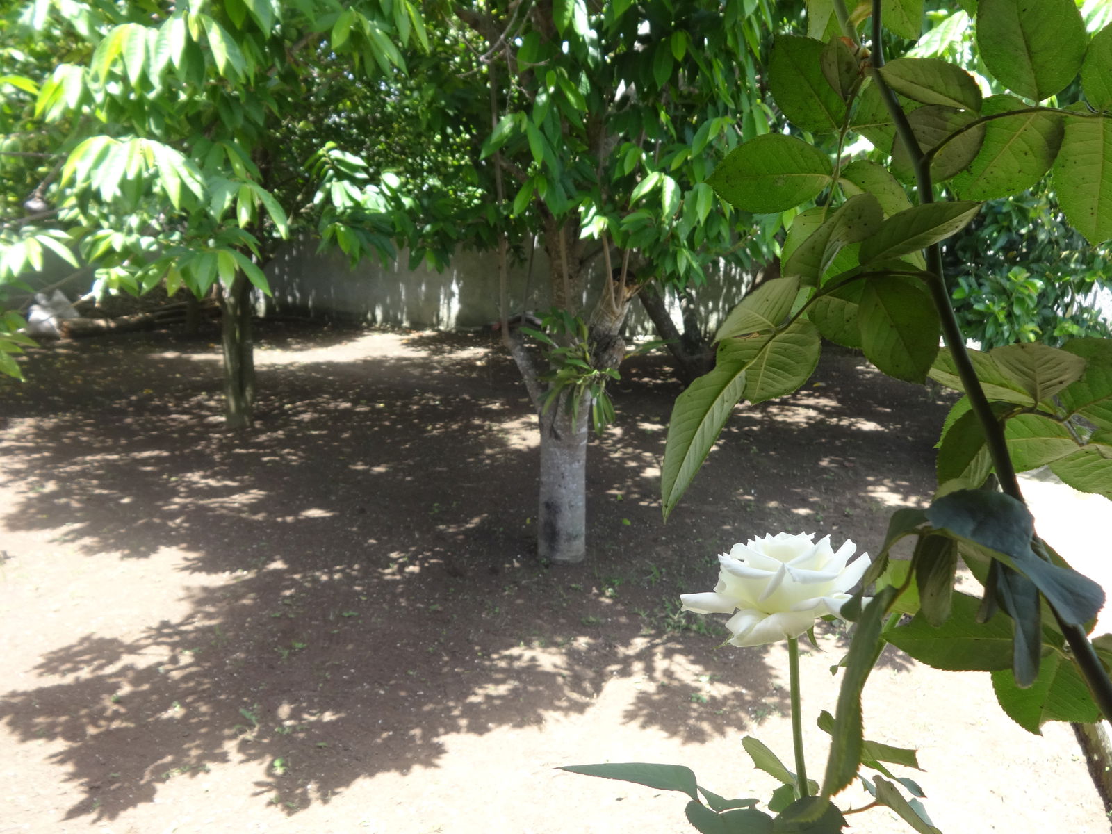 Homestay La Habana 177971