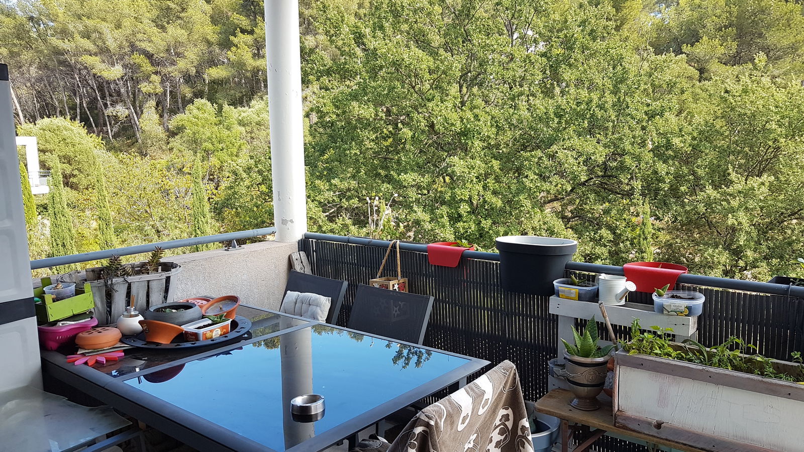 Homestay Carqueiranne 164662