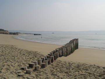 Logement Entier Cestas 219887-11