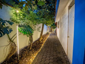 Coliving à louer à Tlalixtac De Cabrera - photo 4 : autre pièce-4