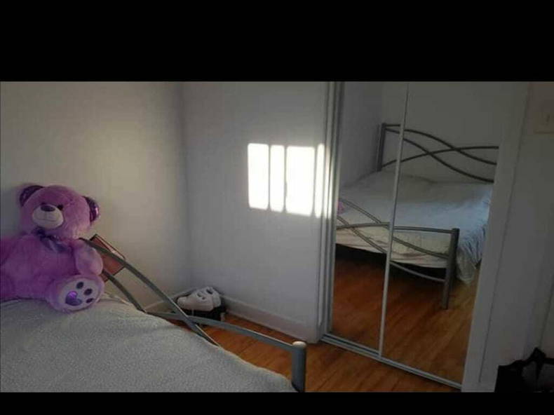 Kolokation Montréal 256271-1