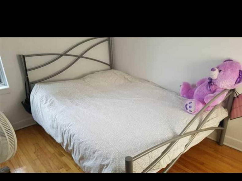 Kolokation Montréal 256271-2