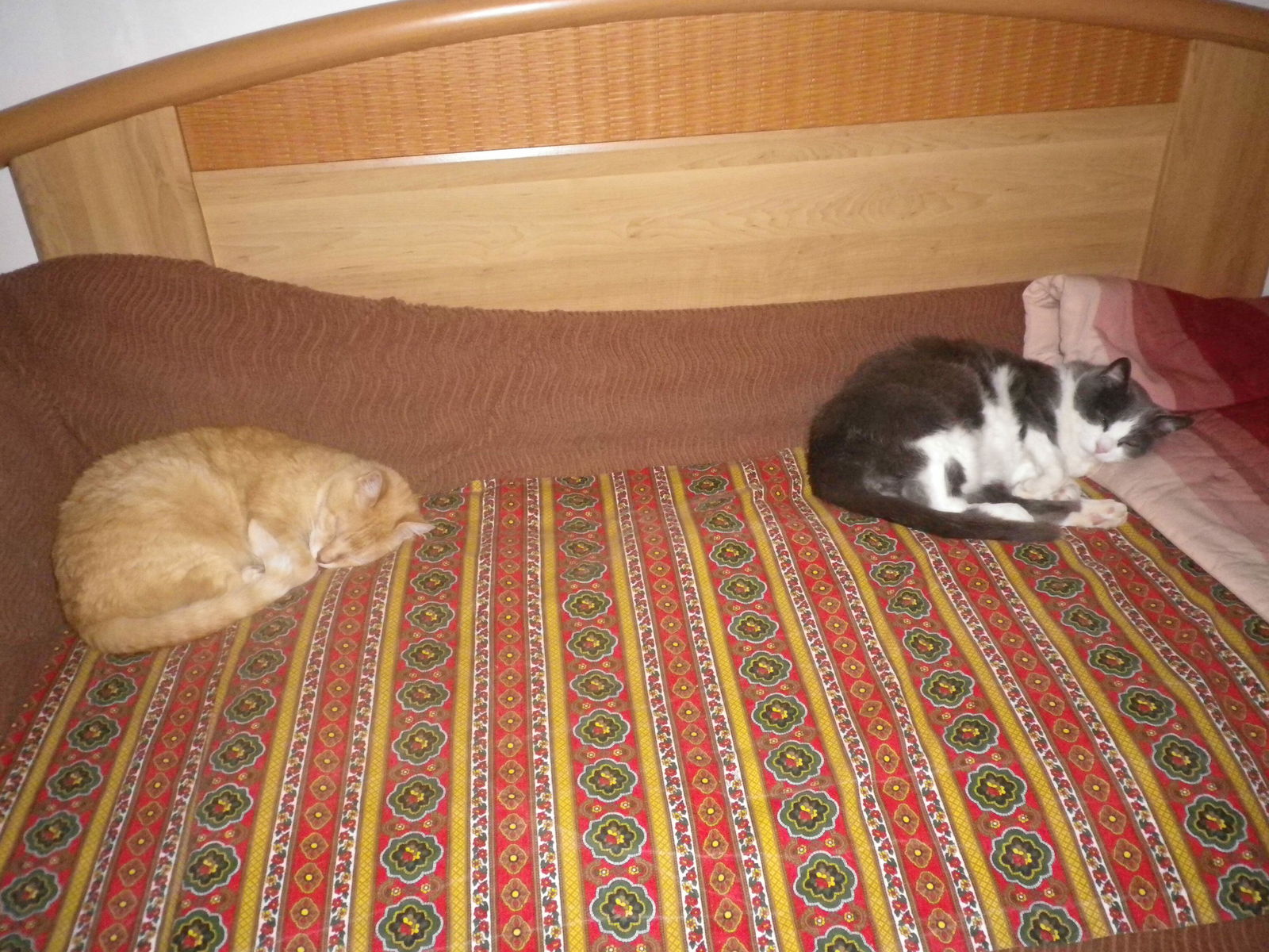 Collocazione Nonglard 182247