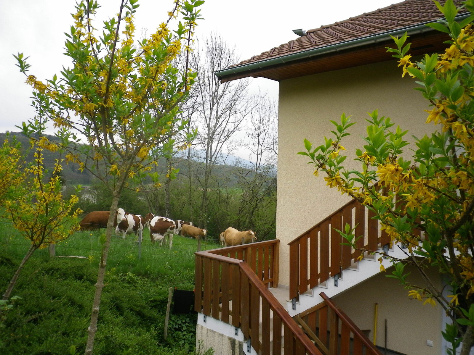 Collocazione Nonglard 182247