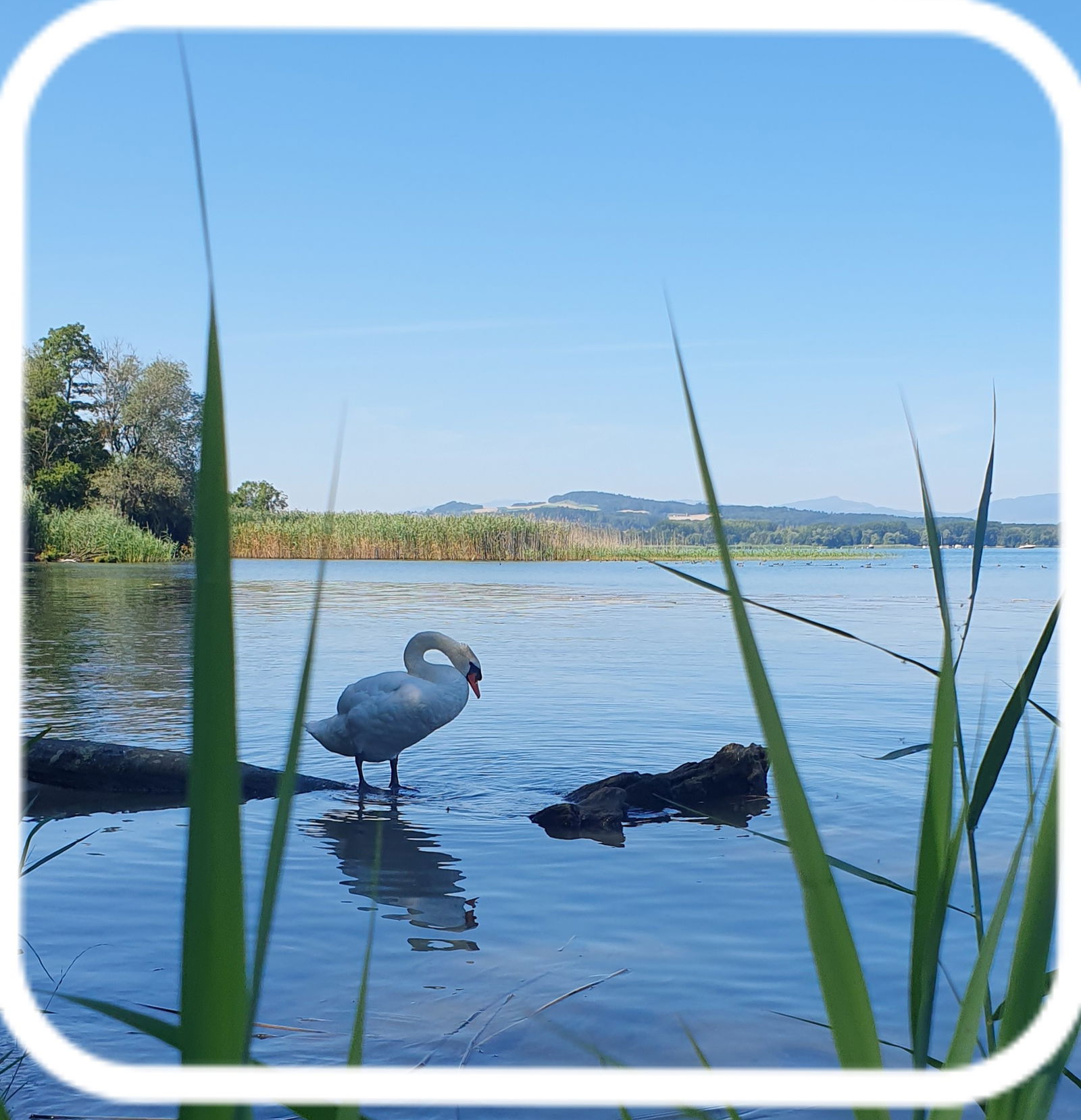 Zakwaterowanie U Rodziny Cheyres-Châbles 581622