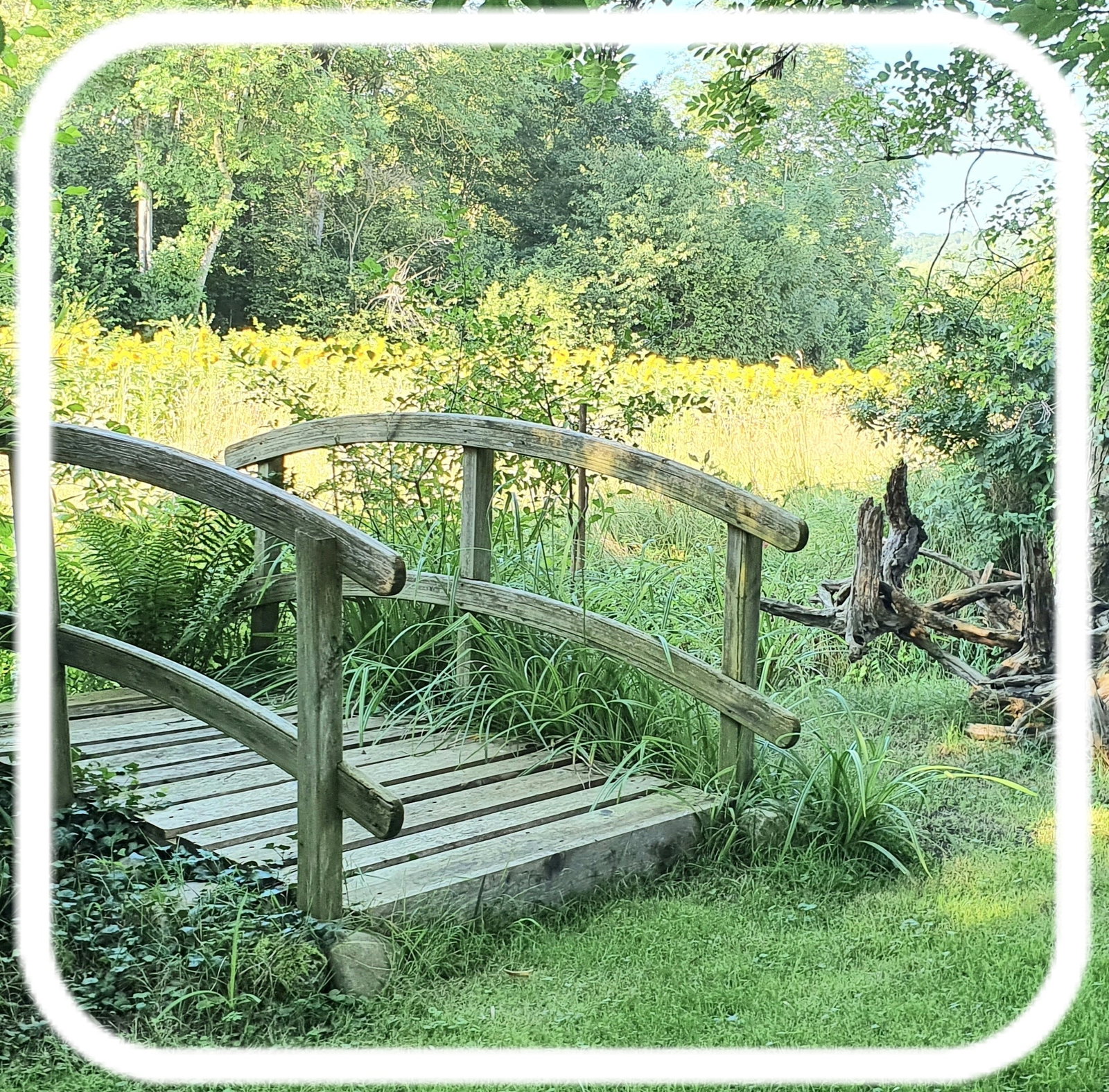 Zakwaterowanie U Rodziny Cheyres-Châbles 581622