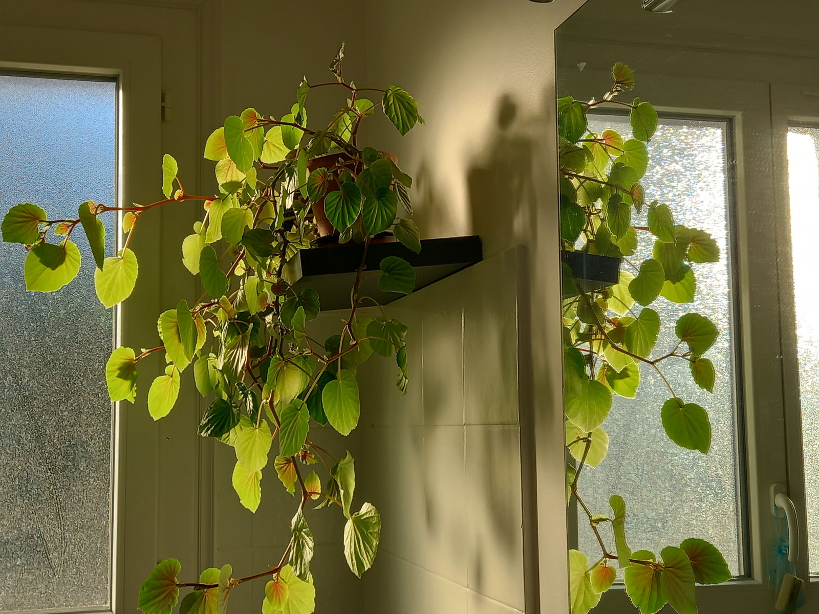 Zakwaterowanie U Rodziny Limoges 459334