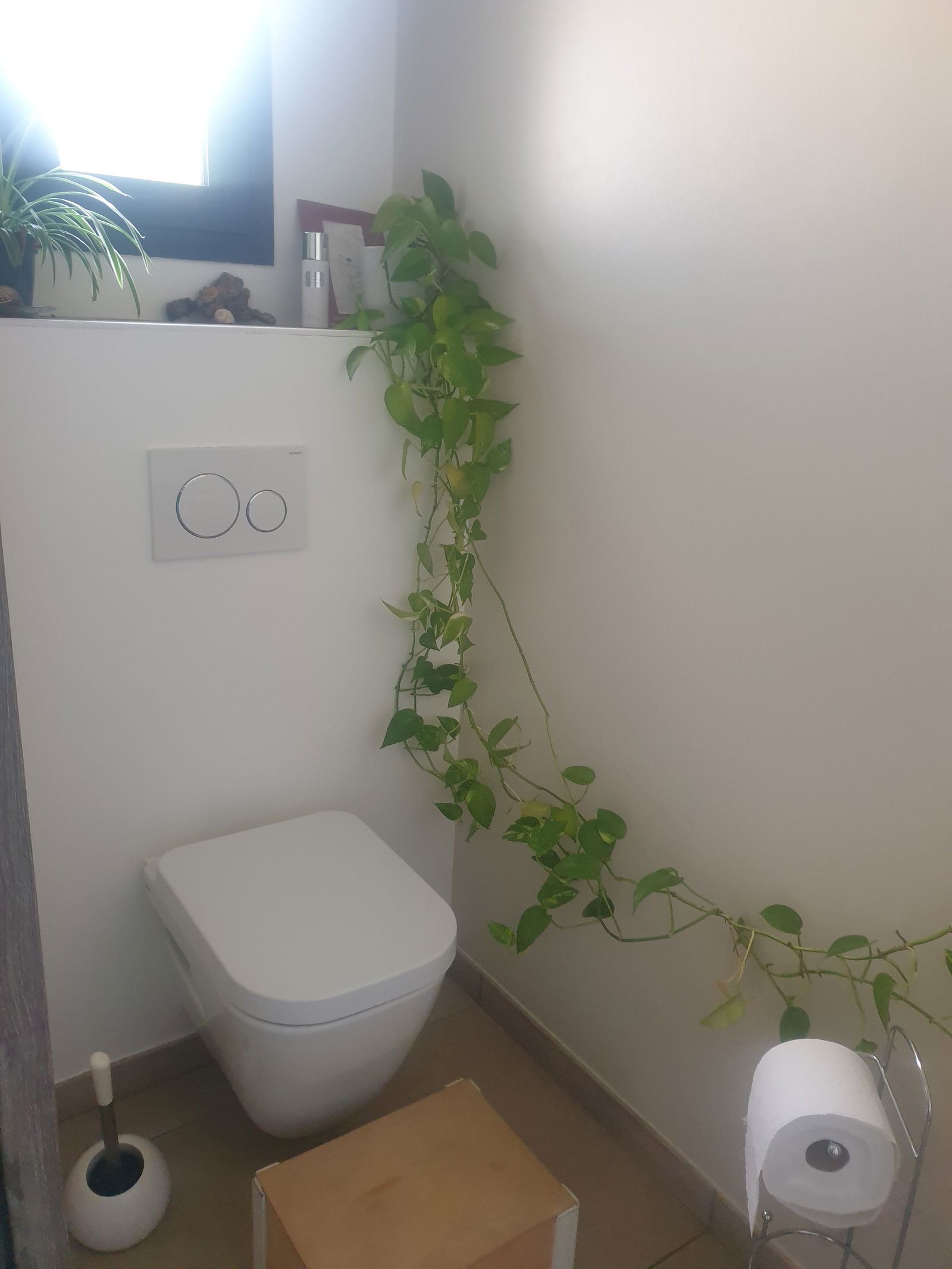 Zakwaterowanie U Rodziny Pailhes 426657