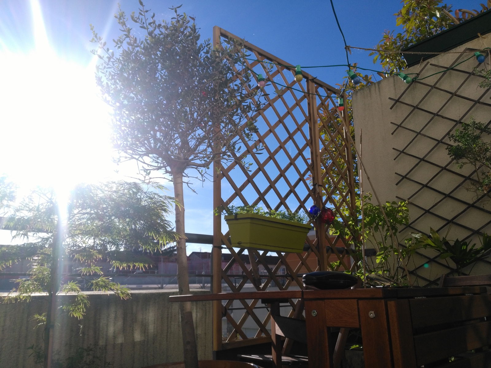 Kolokacja Villeurbanne 185971