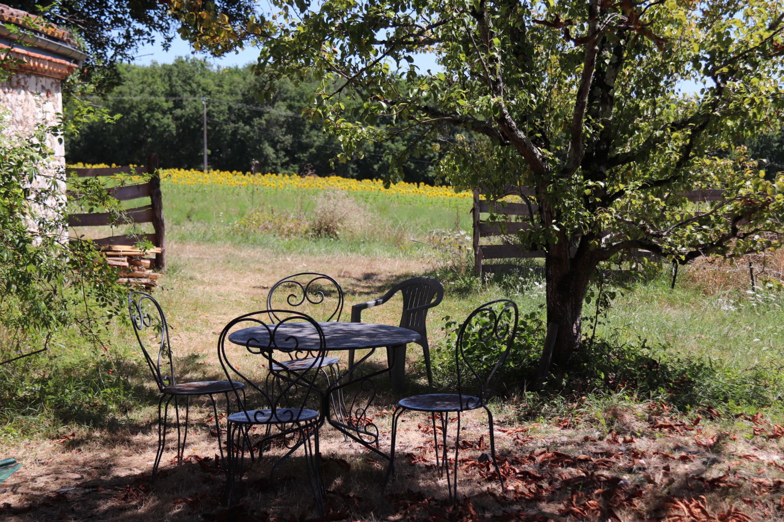 Zakwaterowanie U Rodziny Savignac-sur-Leyze 380007