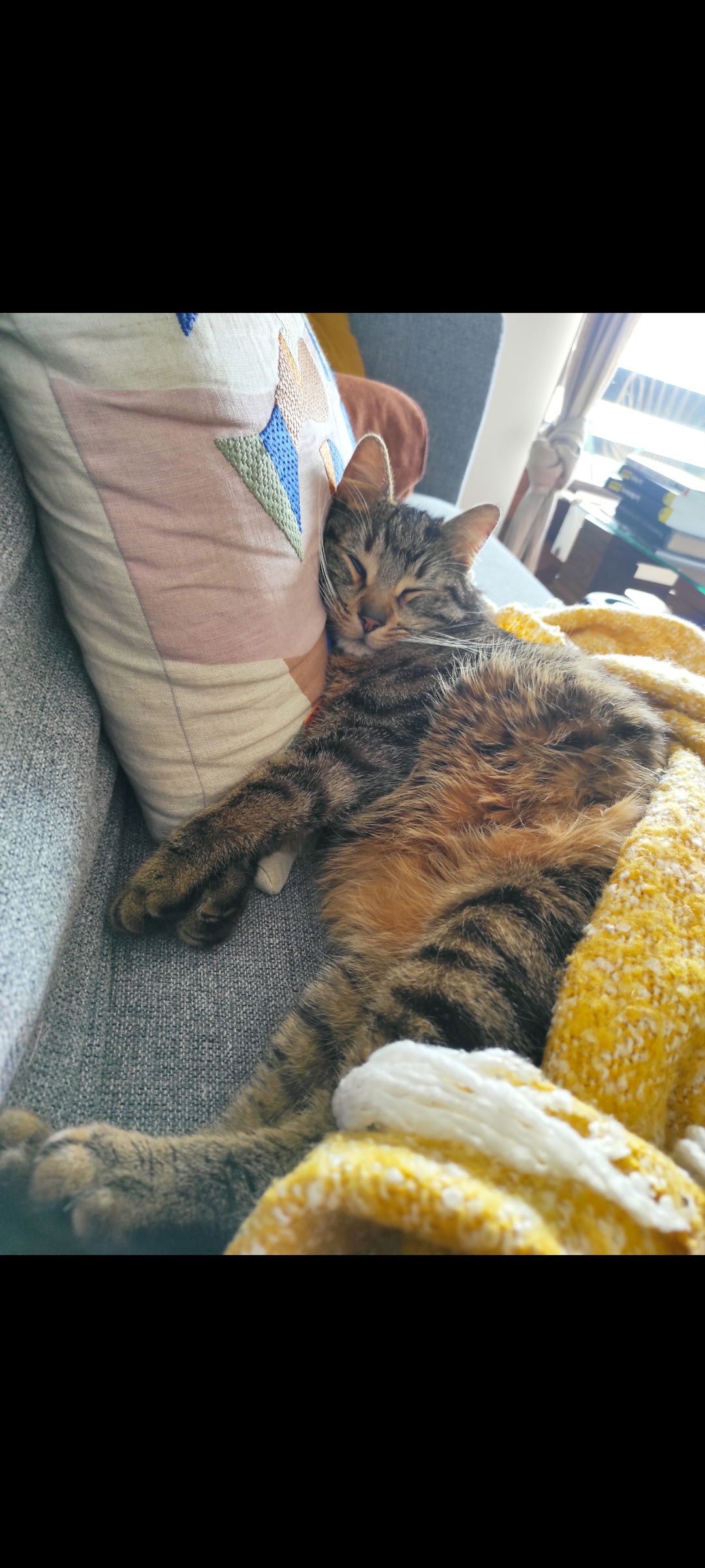 Kolokacja Corsier-sur-Vevey 575327