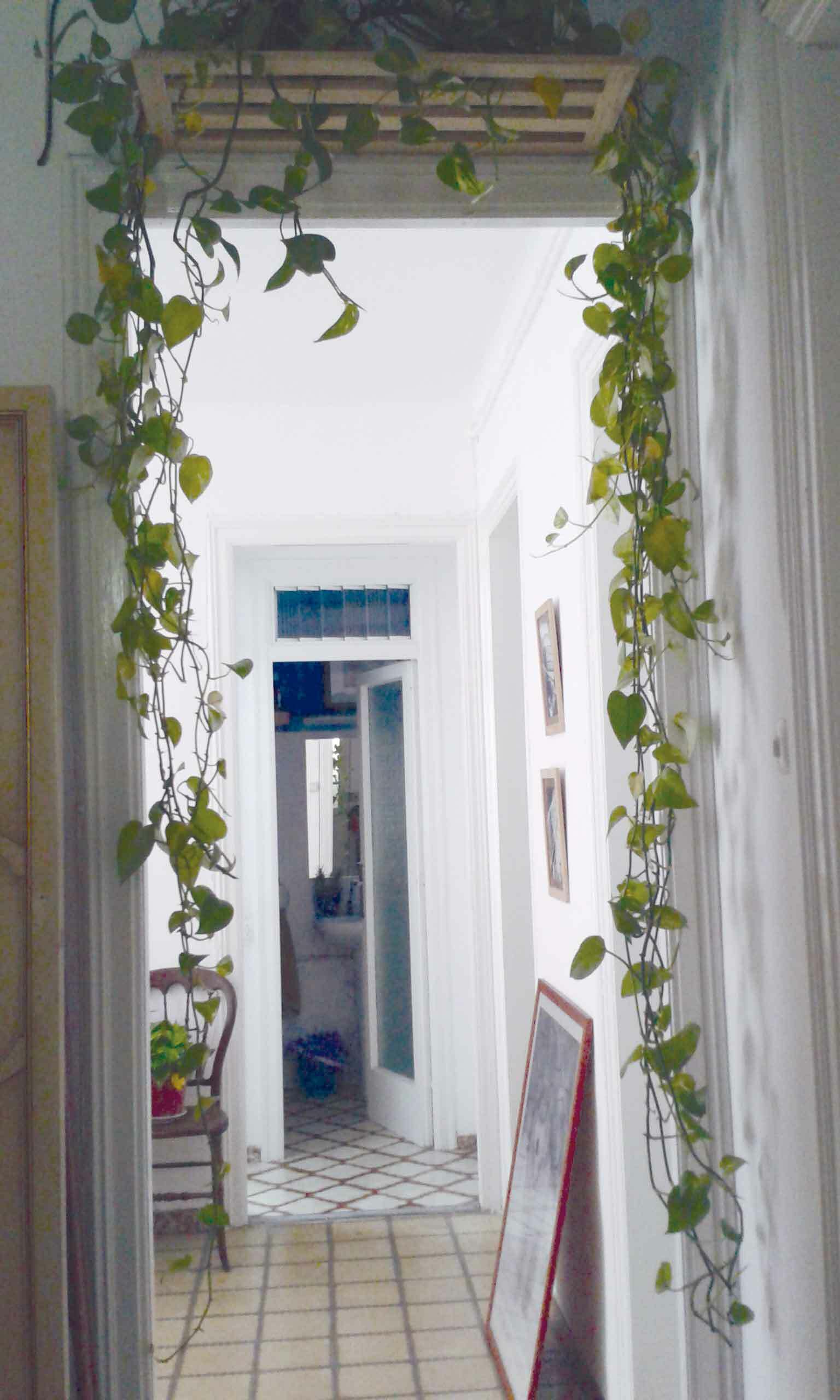 Hjemmeophold Barcelona 177147