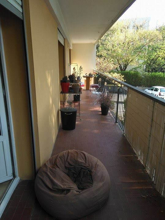 Colocação Montpellier 185095