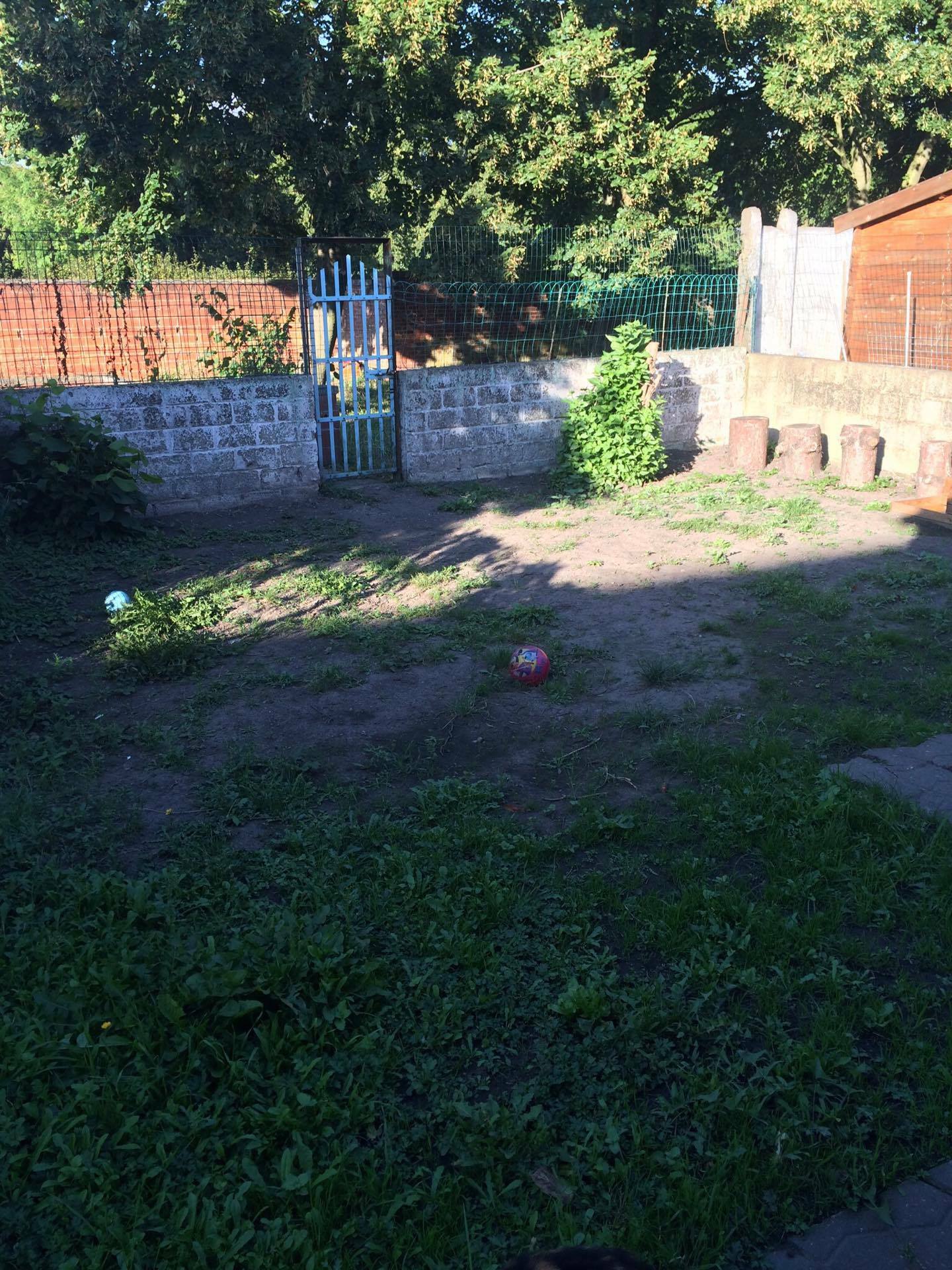 Kolokacja Charleroi 145799