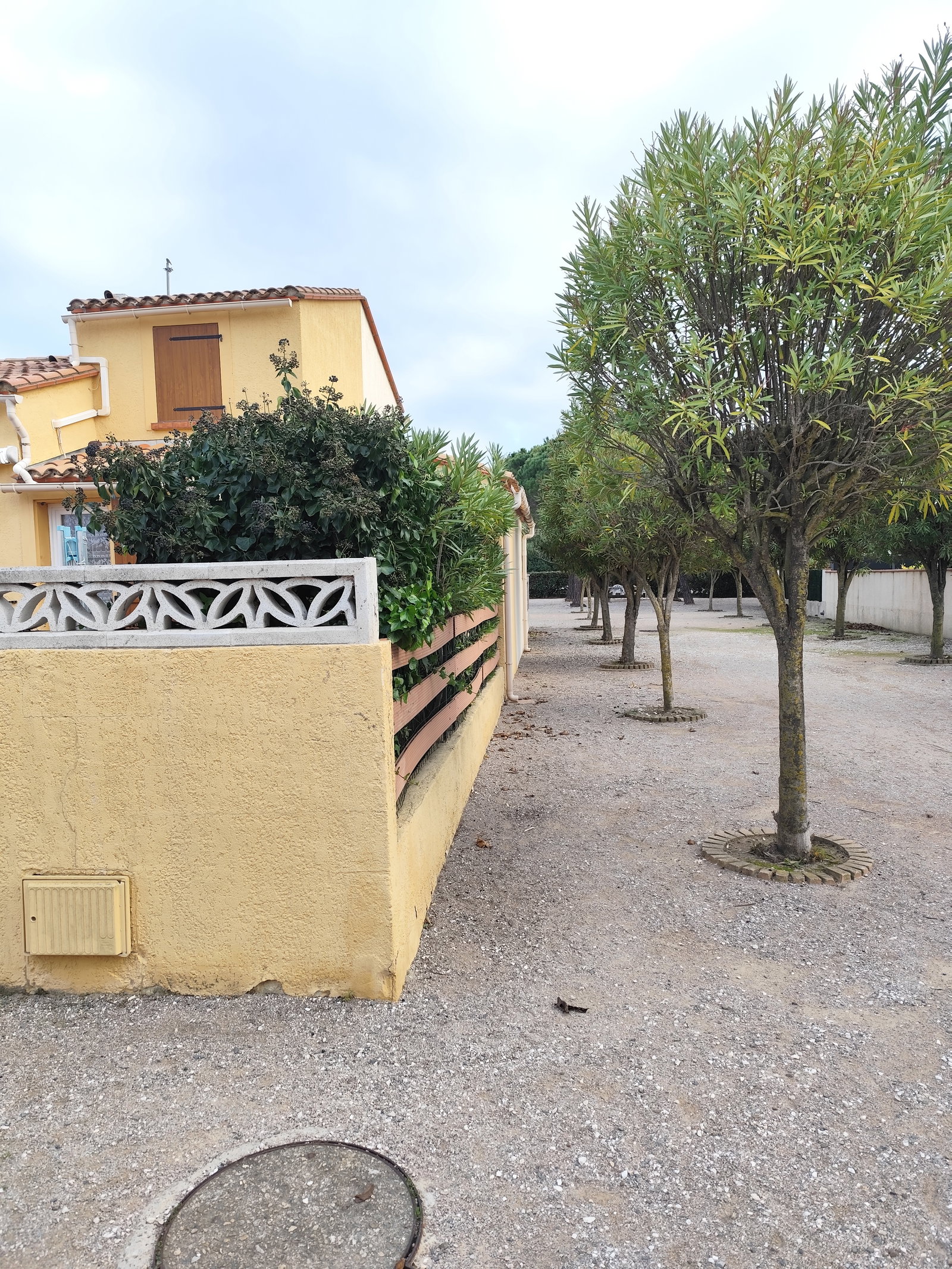 Zakwaterowanie U Rodziny Saint-Cyprien 662156