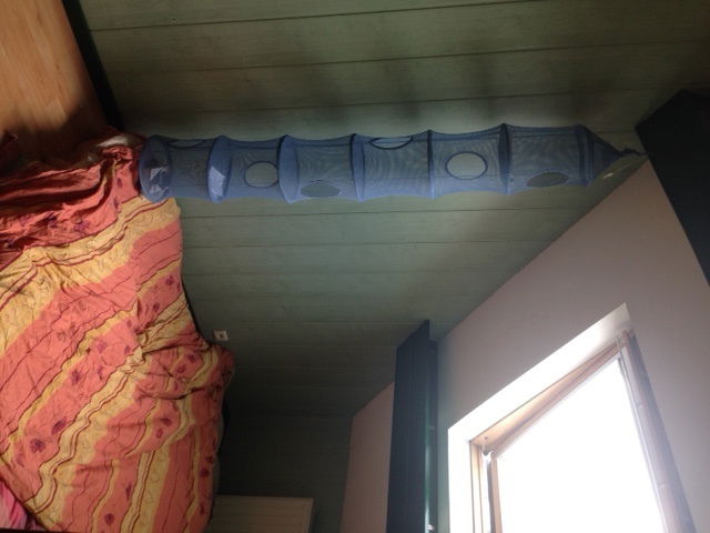 Kolokacja Evere 104624