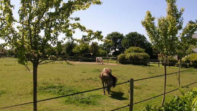 Pokoje Gościnne Lannion 8240