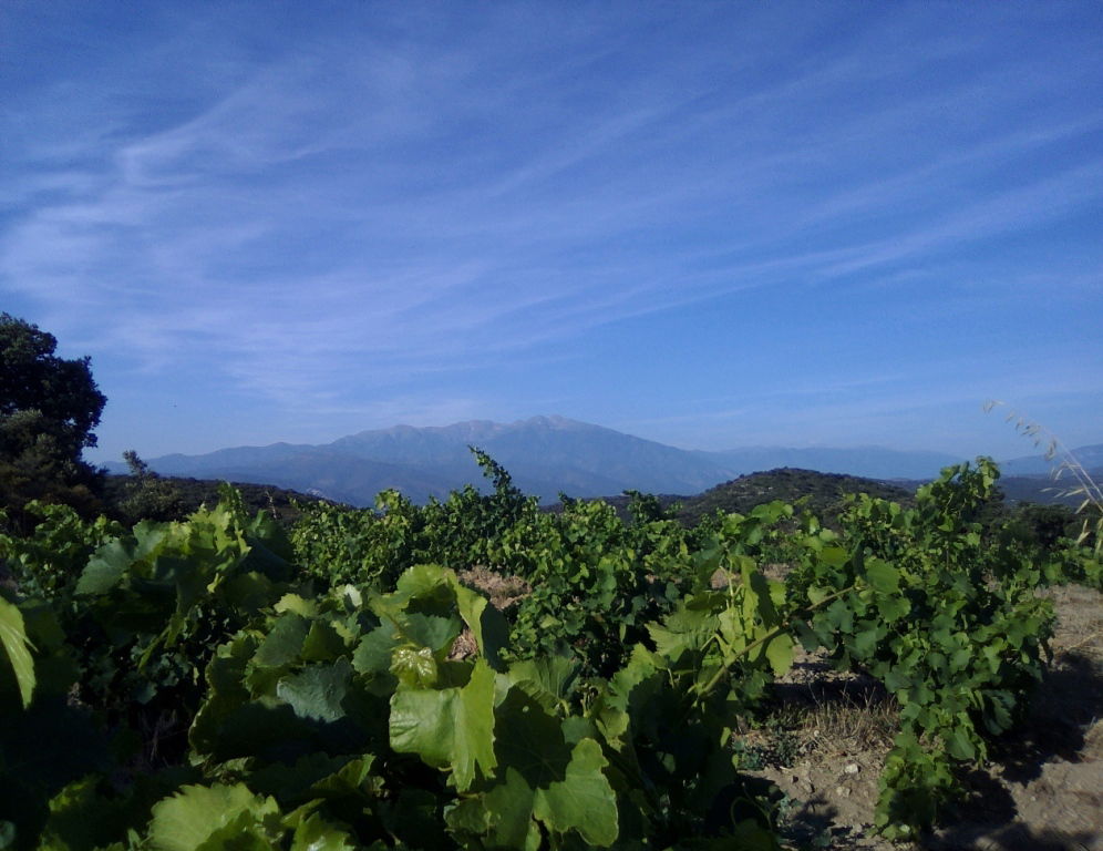 Niezależne Studio Belesta 182217