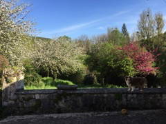 Habitaciones De Huéspedes Asnières-lès-Dijon 170440-3