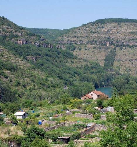 Gastfamilie Saint-Rome-de-Tarn 204296
