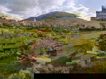 Homestay Saint-Rome-De-Tarn 204296