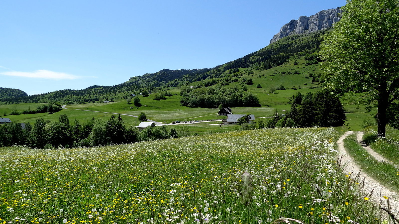 Niezależne Studio Entremont-le-Vieux 75594