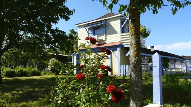 Niezależne Studio Auriolles 29743