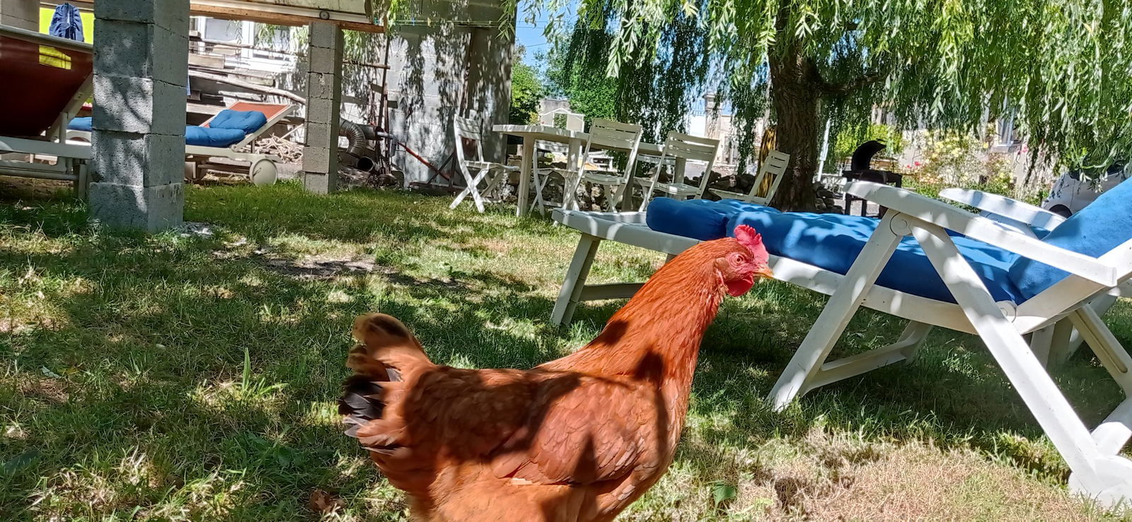 Niezależne Studio Nonant 231357