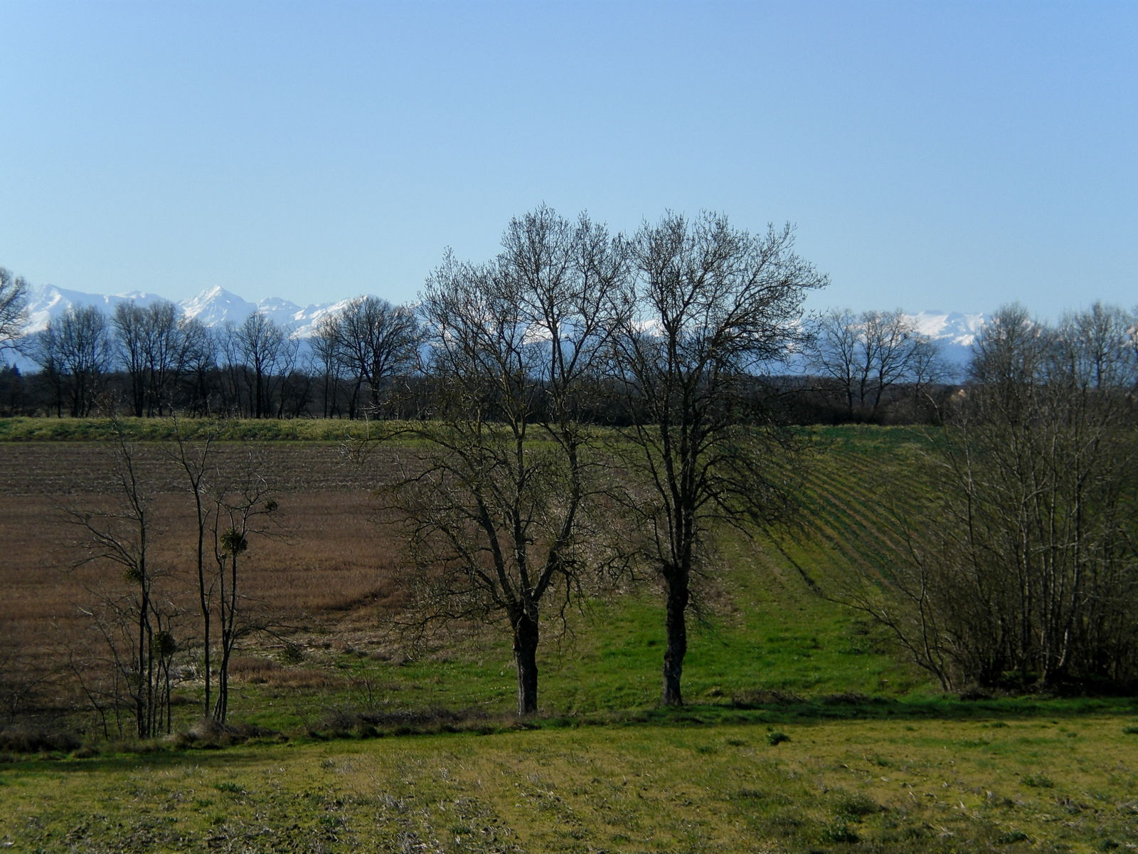 Niezależne Studio Beaufort 69390