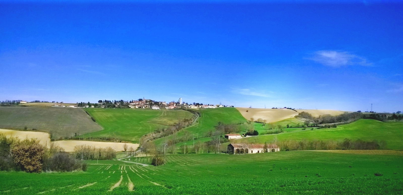 Niezależne Studio Lagarde 265443