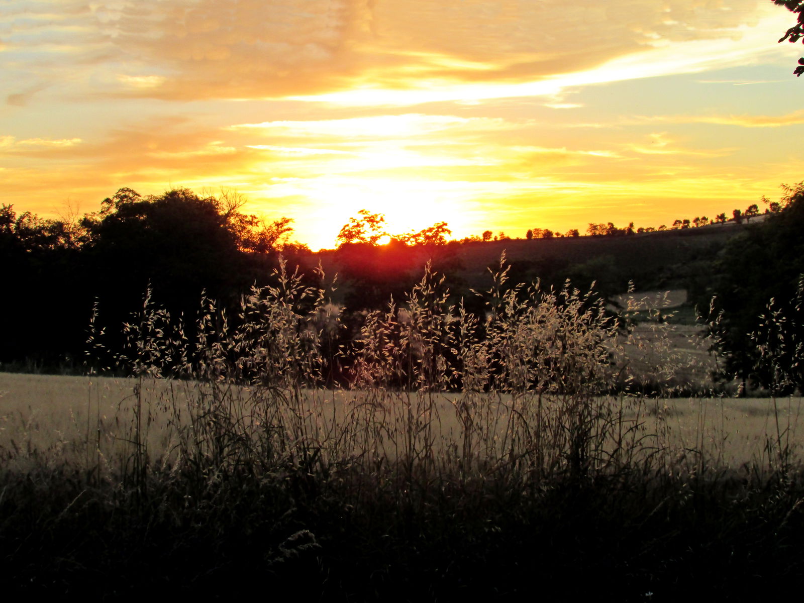 Niezależne Studio Lagarde 265443