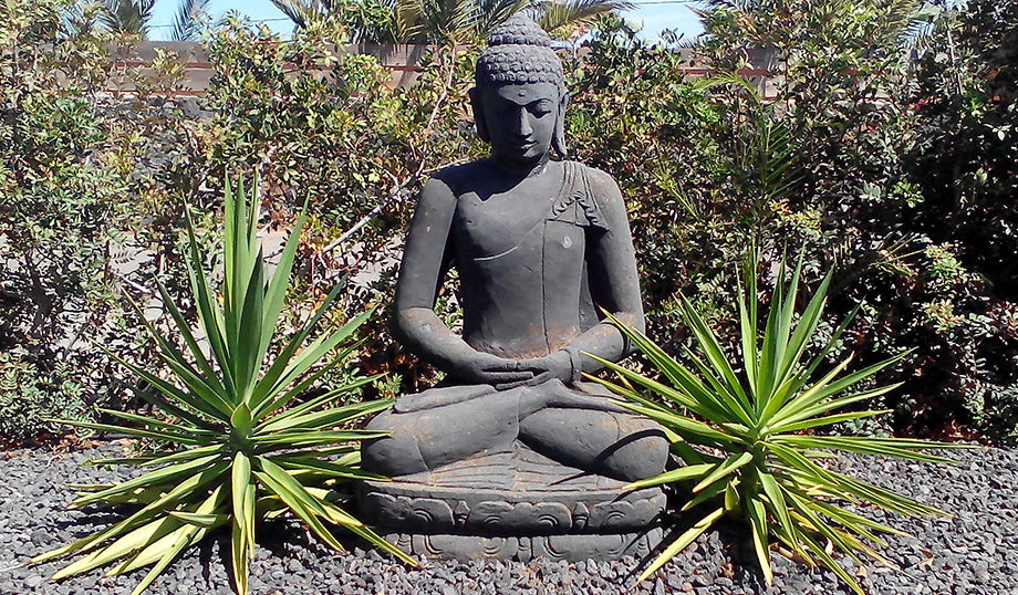 Niezależne Studio La Oliva 131217