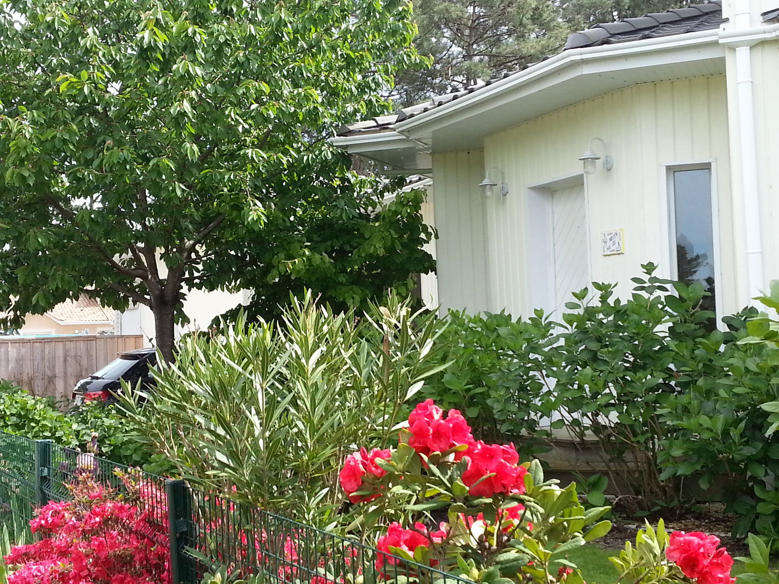 Niezależne Studio Lanton 10724