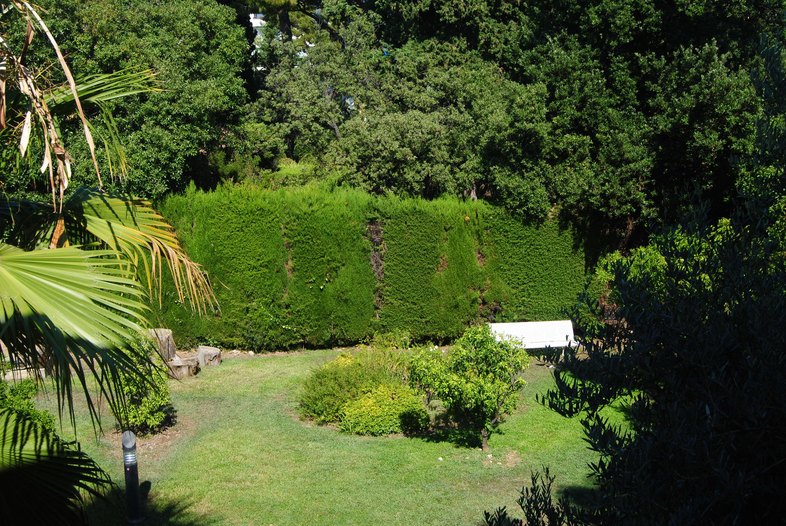 Niezależne Studio Nice 161847