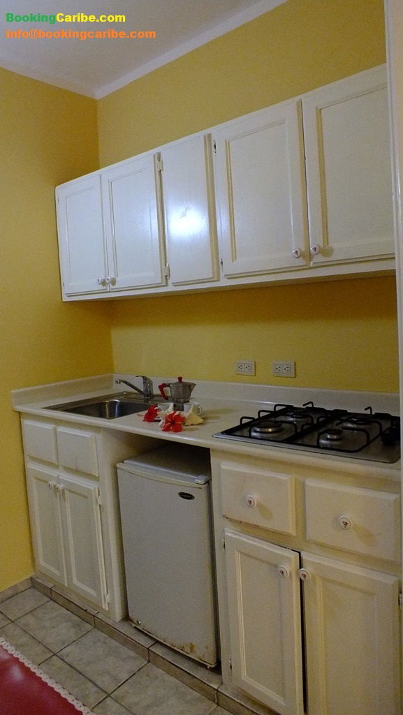 Estudio Independiente Dominicus 114466