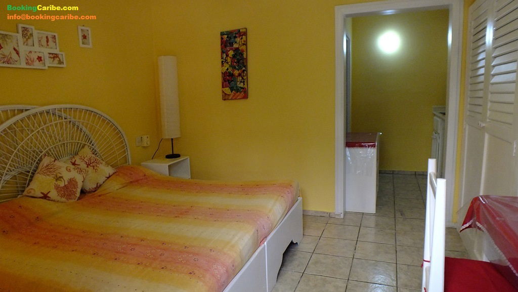 Estudio Independiente Dominicus 114466
