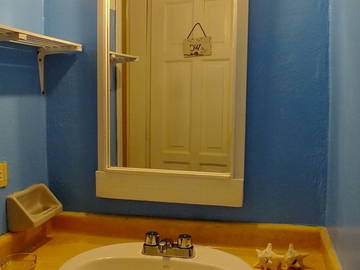 Logement Entier Dominicus 114466-6