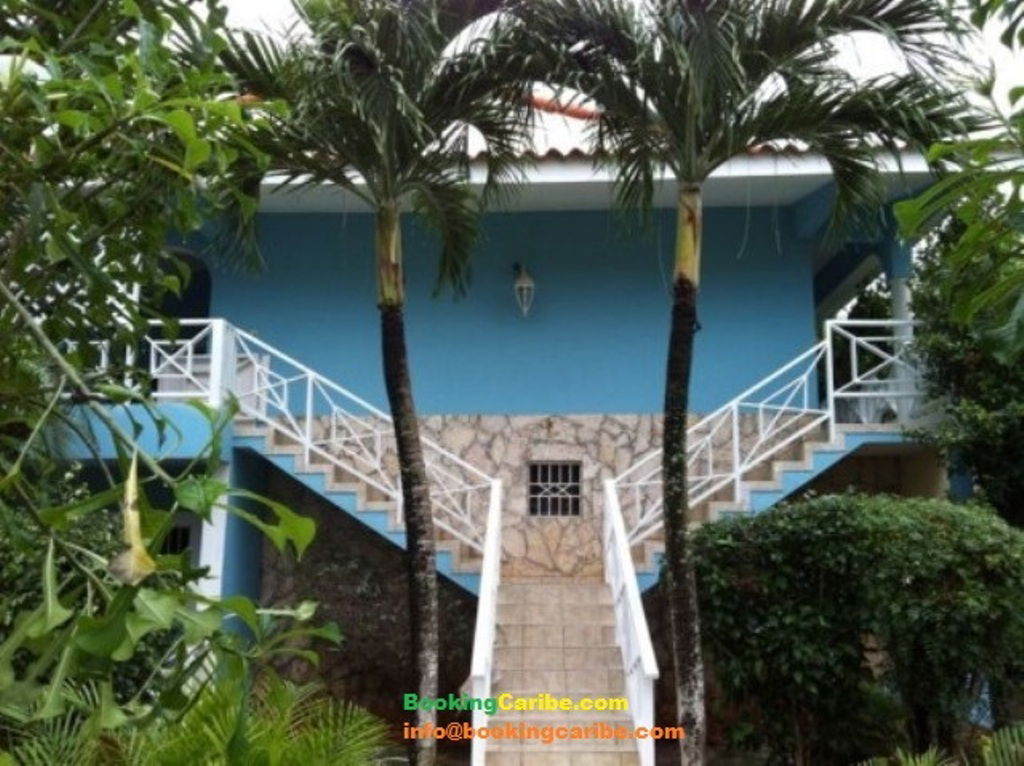 Estudio Independiente Dominicus 114466