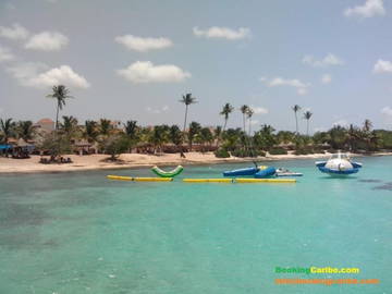 Logement Entier Dominicus 114466-11